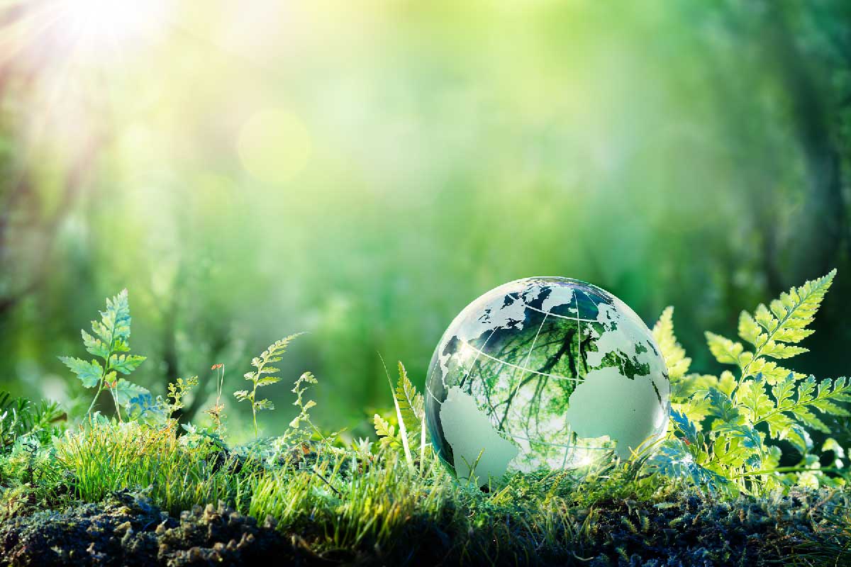 Sustainability in Todays Data Center World